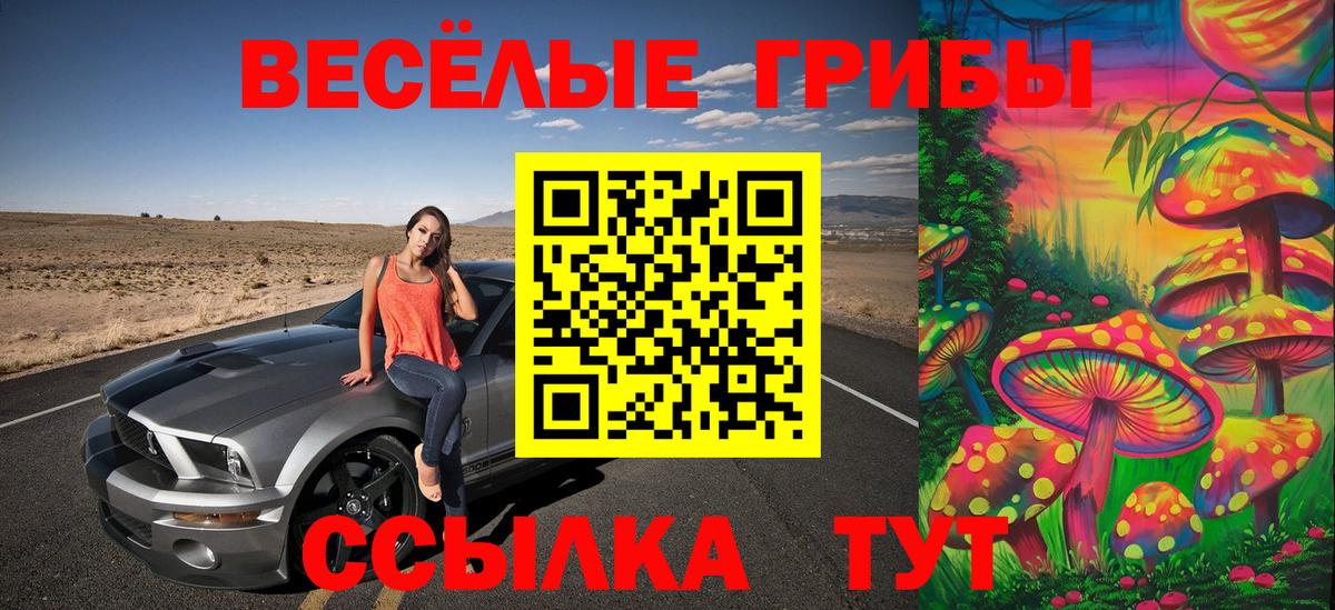 Галлюциногенные грибы Psilocybe Кимры
